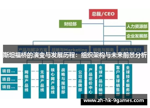 斯坦福桥的演变与发展历程：组织架构与未来前景分析